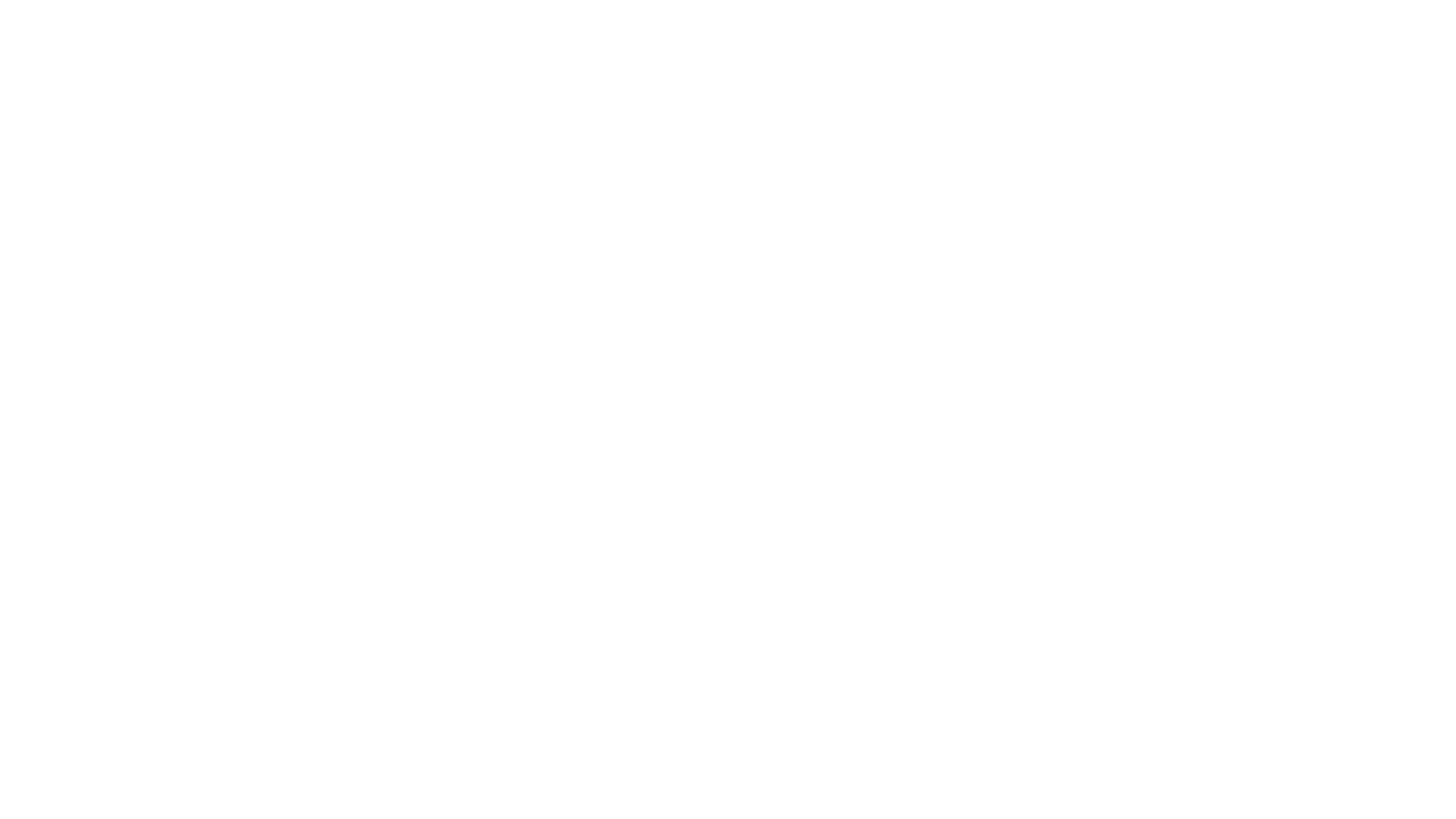 Black Bear Fulfillment logo